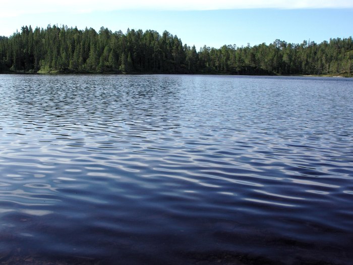 Вода река