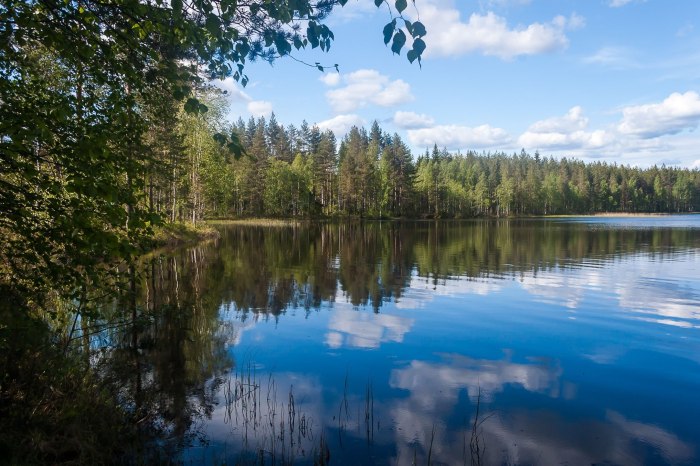 Озеро Белоелампи Карелия