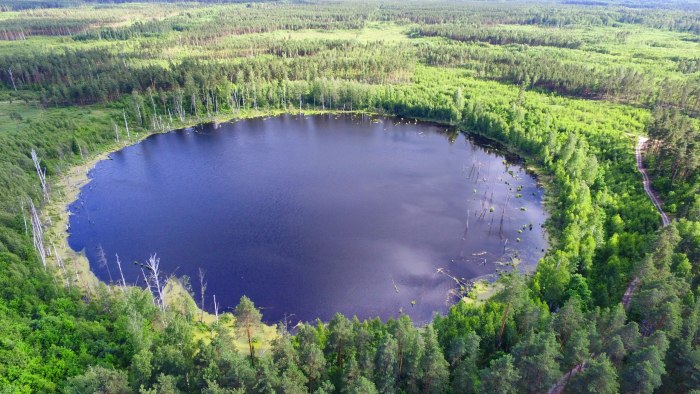 Смердячье озеро Шатура