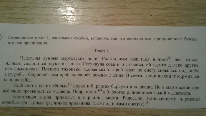 Задание по русскому языку списывание