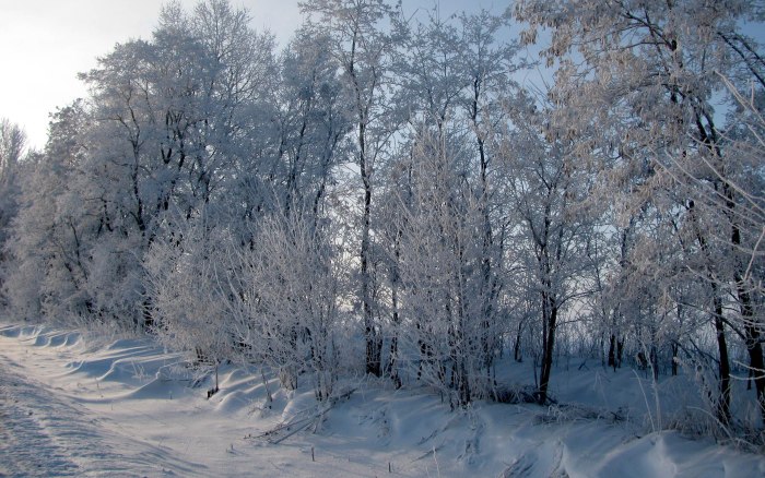 Красота русской зимы