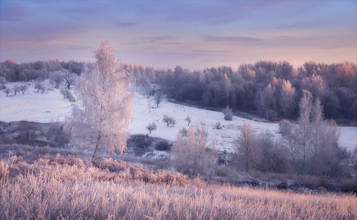 Лес закат зима иней