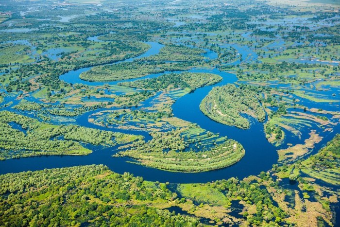 Река беларуси фото