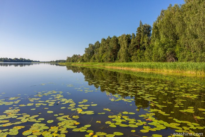Озеро святое Мещера