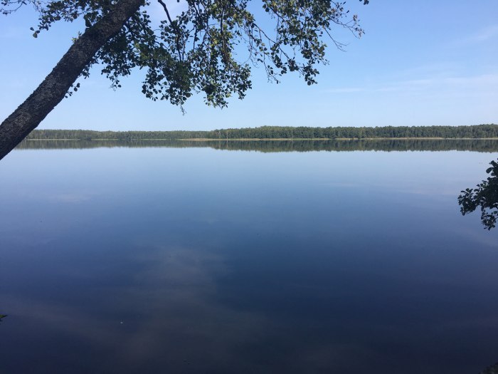 Поле и озеро Эстетика