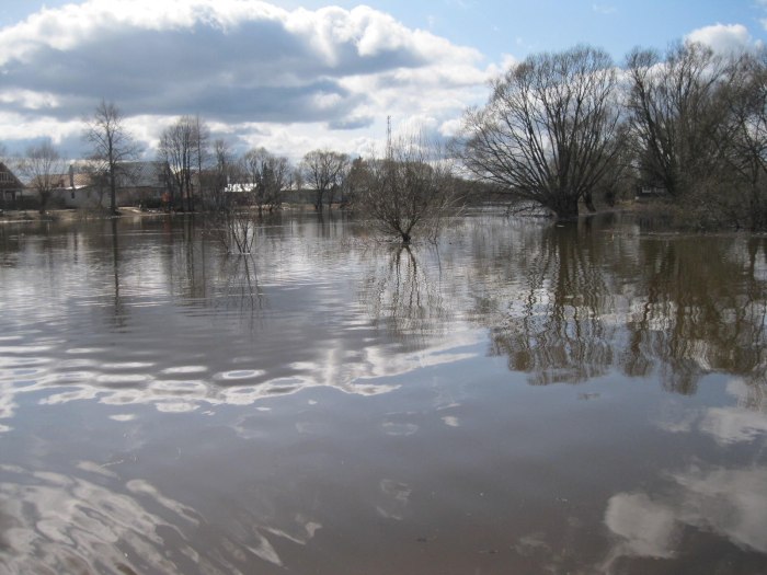 Вазузское водохранилище коттеджный поселок