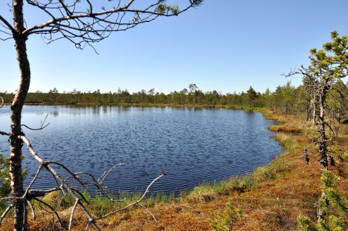 Windermere поместье