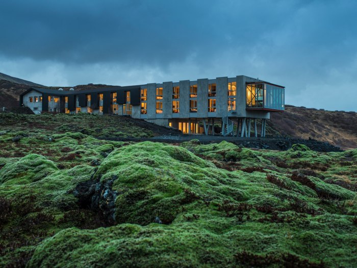 Ion Luxury Hotel Исландия
