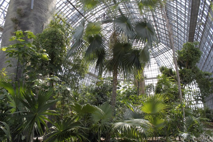 Botanischer Garten в Берлине