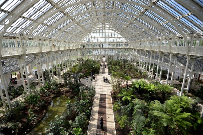 Берлинский Ботанический сад, Берлин