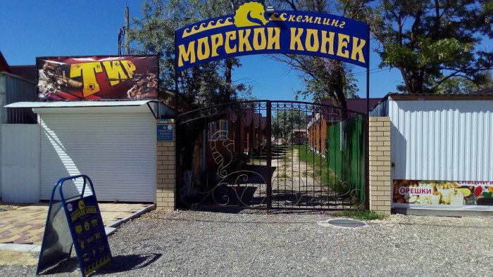Морской конёк, станица Голубицкая