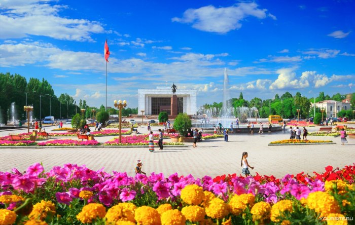 Площадь ала ТОО