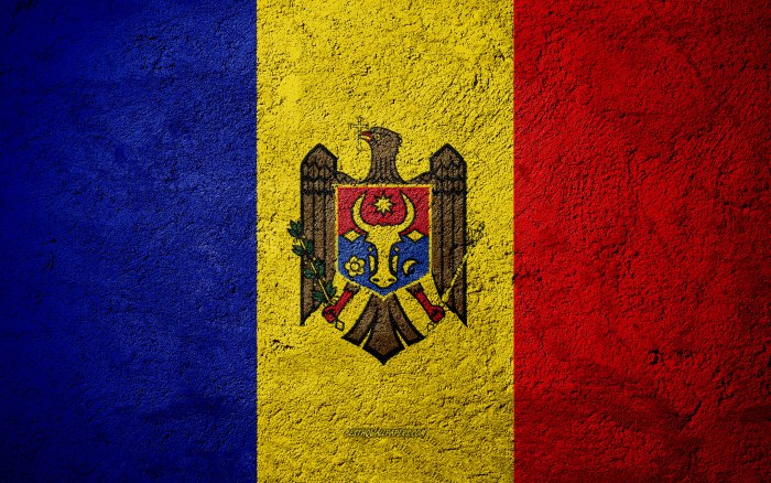 Флаг королевства Молдавии