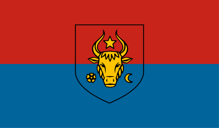 Флаг молдавского княжества