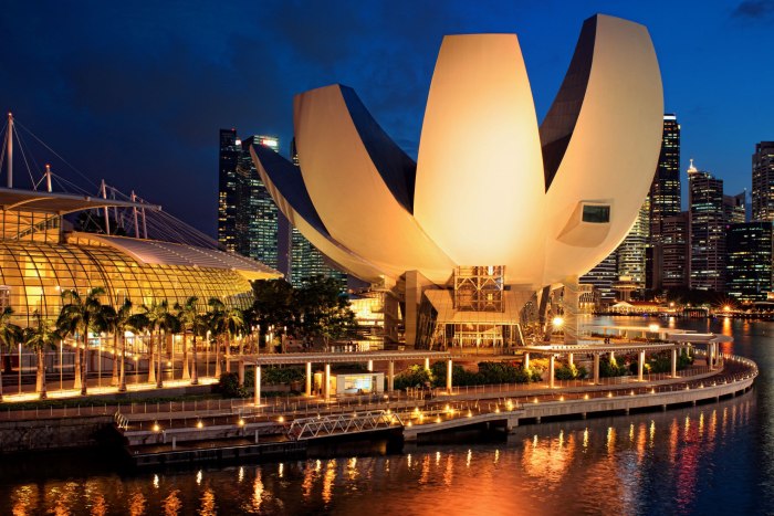 Singapore музей искусства и науки