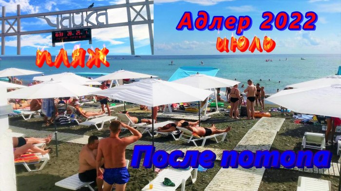 Чайка 2 Адлер