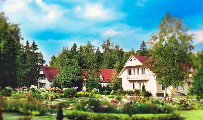 Курорт парк Союз Щелковский район