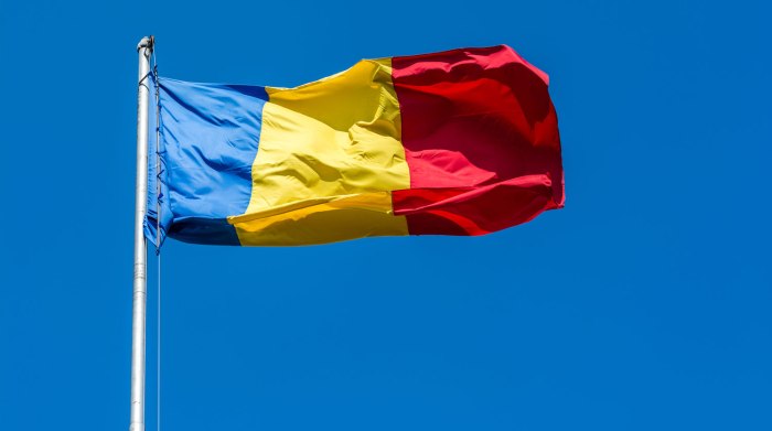 Флаг Румынии 1955