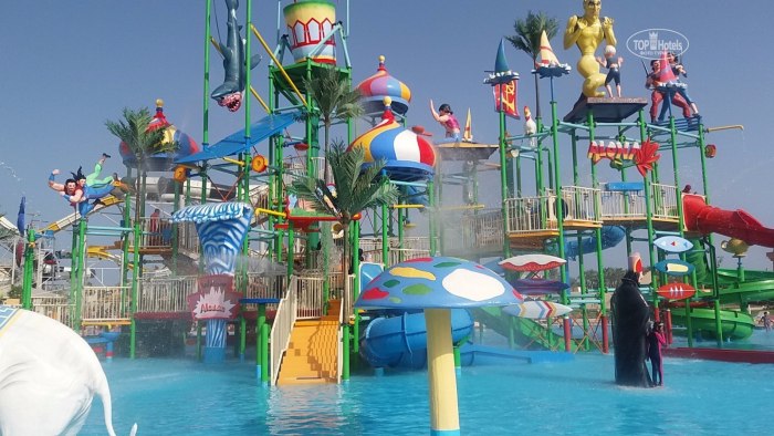Albatros Aqua Park Sharm 5