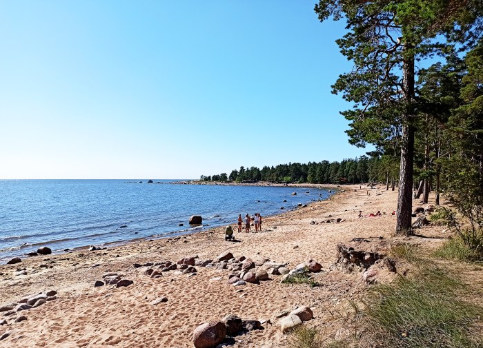 Репино финский залив
