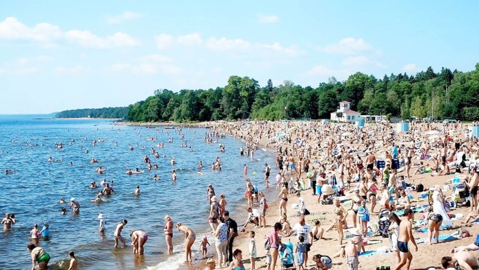 Берега финского заливе в Финляндии