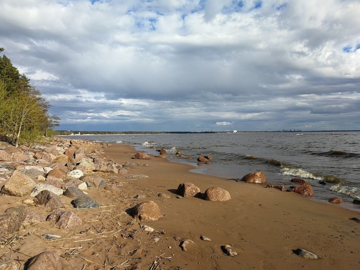 Зеленогорск финский залив пляж