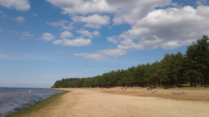 Кемпинг финский залив