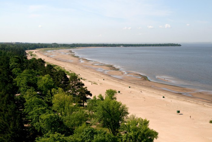 Репино финский залив