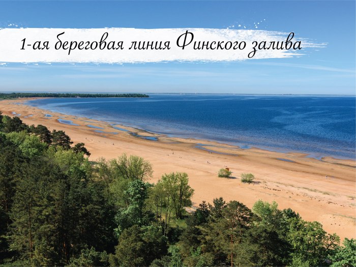 Финский залив в Вистино