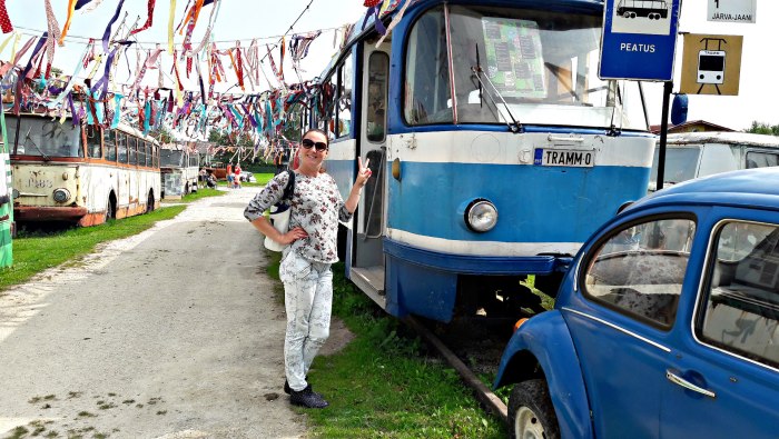 Приют Ярва Яани 2019