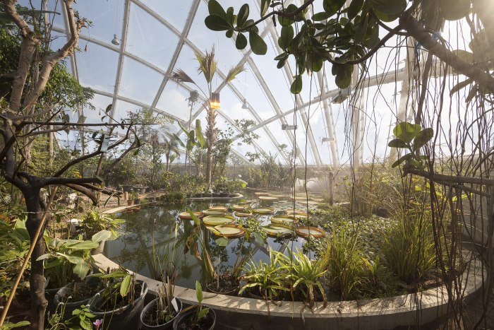Aarhus Botanical Gardens Орхус