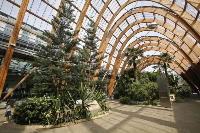 Шеффилд Winter Gardens