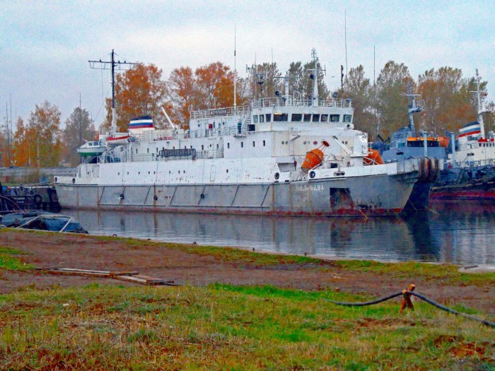 Бронка порт Санкт-Петербург