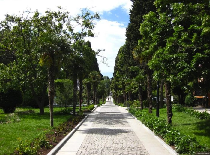 Приморский парк имени ю а Гагарина Ялта