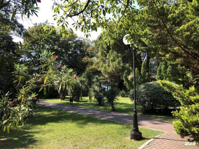 Приморский парк мостики Ялта