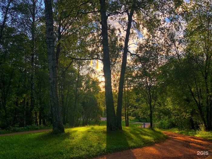 Удельный парк осенью СПБ
