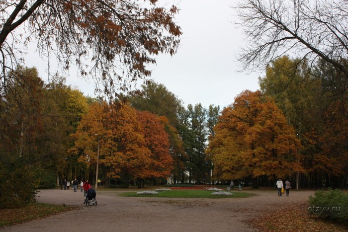 Павловский парк СПБ