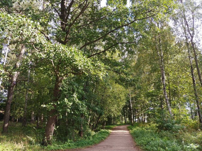 Удельный парк панорама
