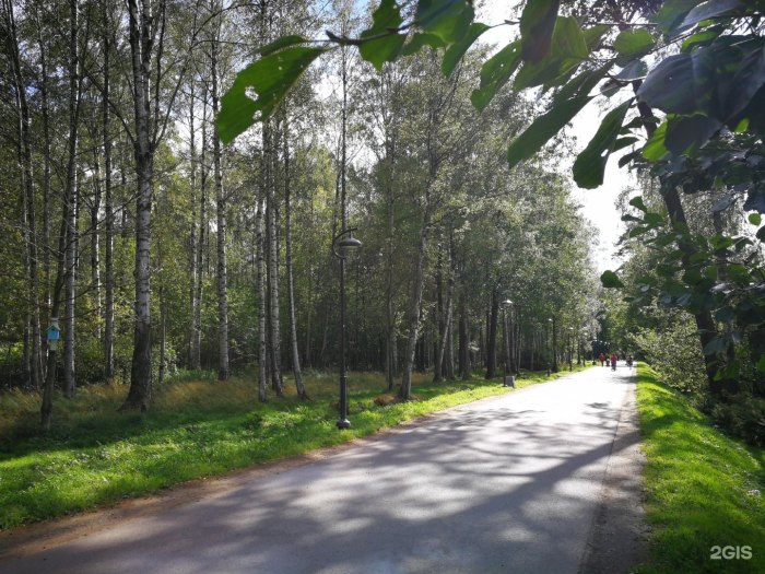 Удельный парк в Санкт-Петербурге