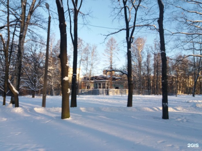 Удельный парк осенью СПБ