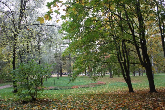 Удельный парк в Санкт-Петербурге