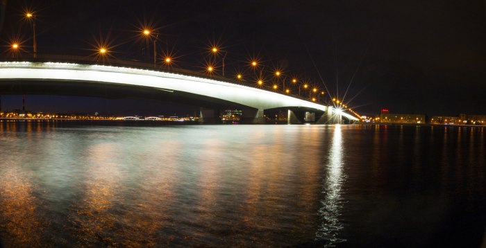 В Неву с моста Александра Невского