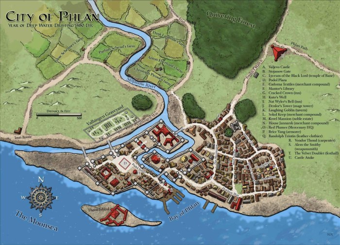 Флан DND Map