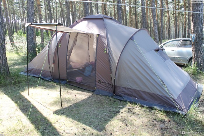 Палатки палатка Vango Ascott II 500