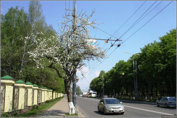 Улица Пушкина Орел