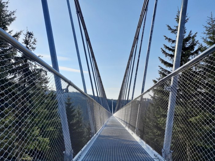 Мост Skybridge 721