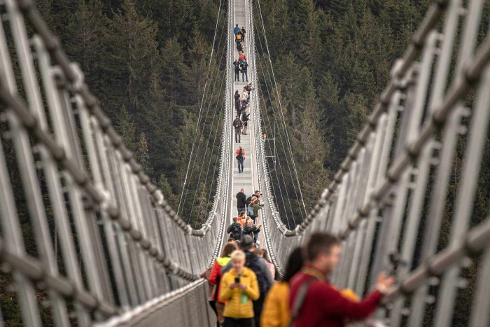 Мост Skybridge 721
