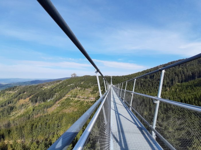 Skybridge 721 Чехия