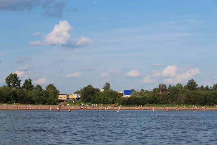 Борки Рязань пляж
