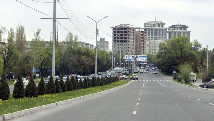 Улица Аалы Токомбаева